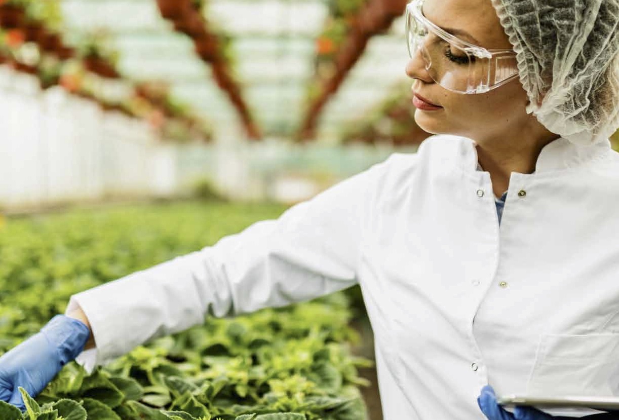 Los productos fitosanitarios actuales son muy eficaces y respetuosos con el medio ambiente.